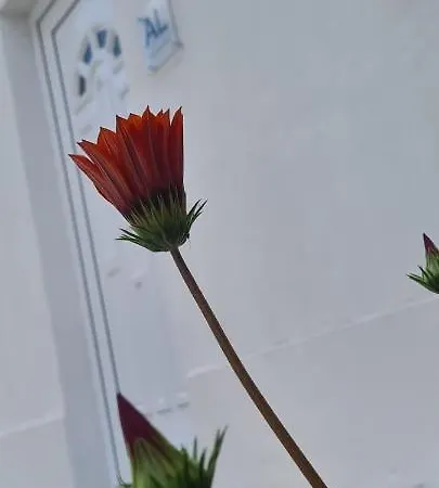 Caldas Relax & Leisure Feriehus