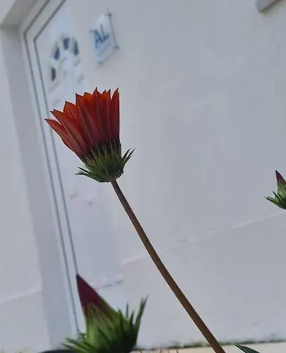 Caldas Relax & Leisure Casa vacanze